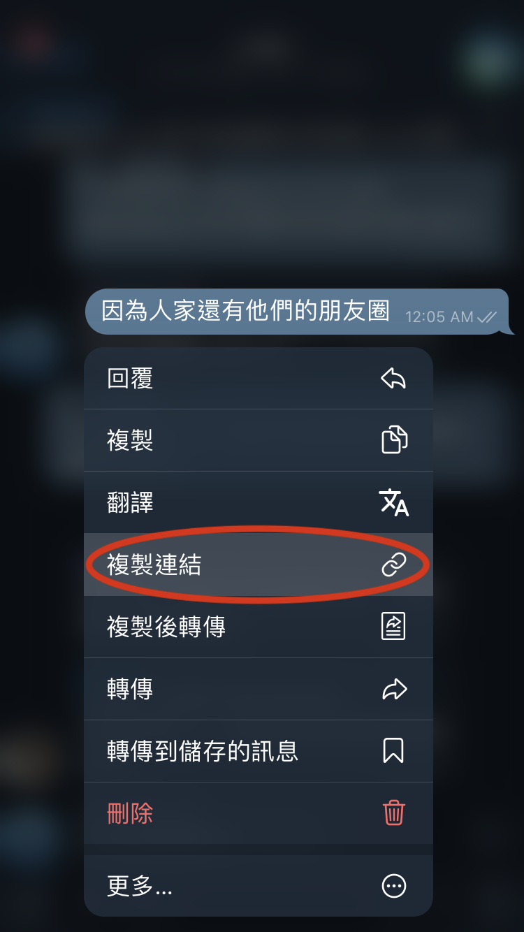 [Telegram懶人包] 3-1 訊息按右鍵(電腦) / 長按(手機) 功能